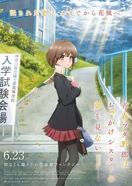 内衣模特大婶