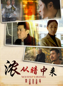 视频二区在线视频